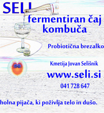SELI SW v Knjigi popustov