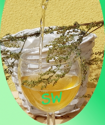 Sladki pelin in kombuča