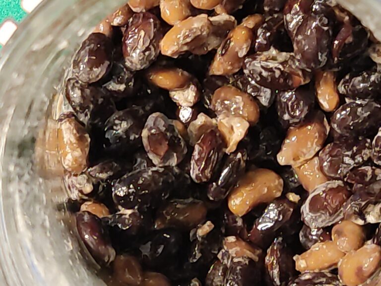 Natto – corona virus